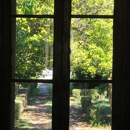 La Casa De Los Camelios *